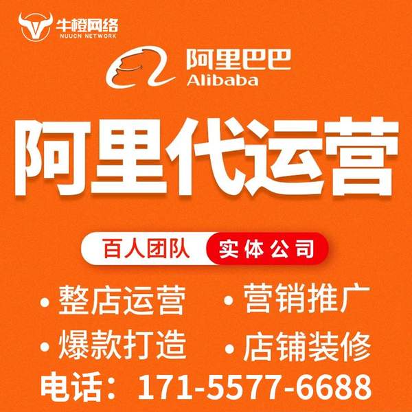 三沙电商代运营