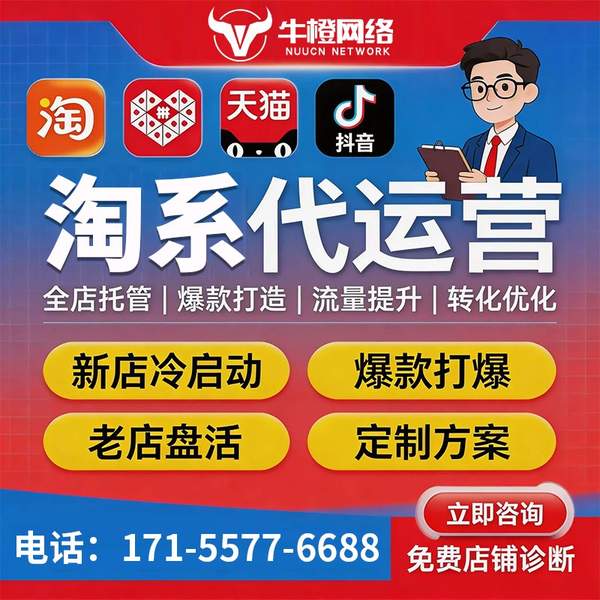 三沙电商代运营