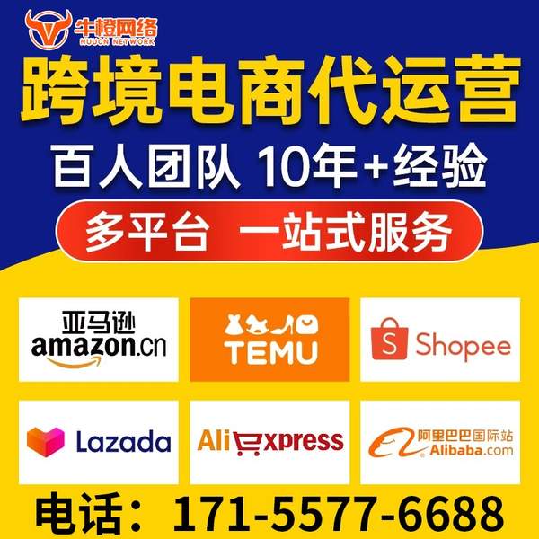 三沙电商代运营