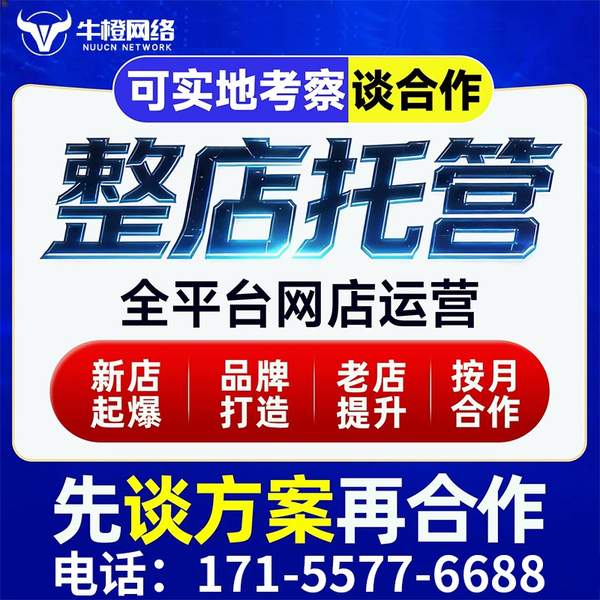 三沙电商代运营