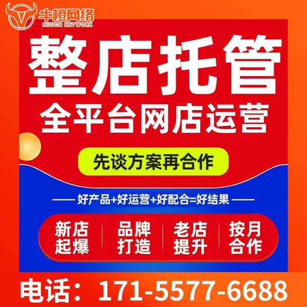 三沙电商代运营