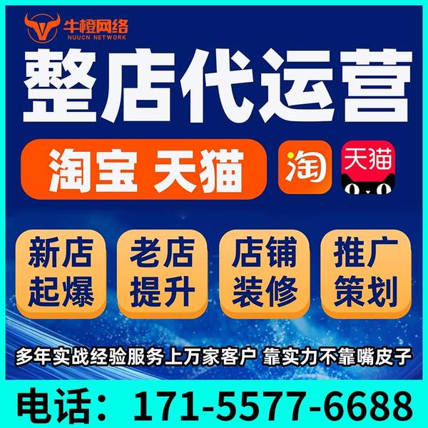 三沙电商代运营