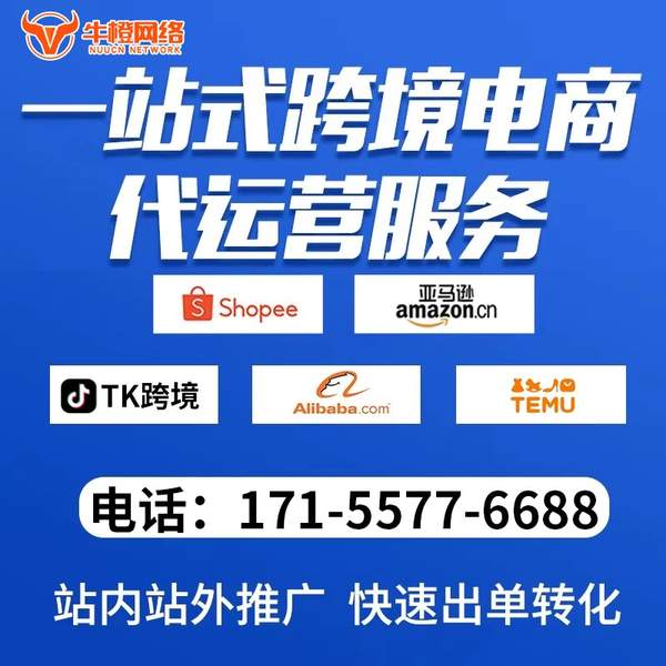 三沙电商代运营
