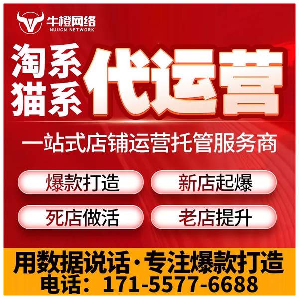 三沙电商代运营